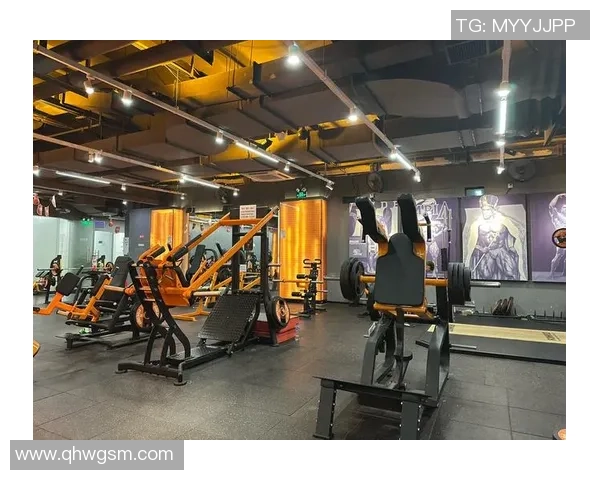 打造完美身材的健身攻略全解析，从新手到高手的全程指南