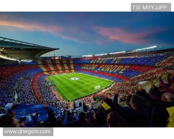 聚焦世界足球明星成长之路与球场传奇故事揭秘全景展现辉煌时刻风采