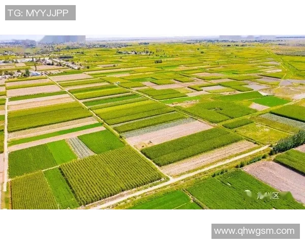 辽宁本钢加快绿色转型步伐推动钢铁产业高质量发展新格局