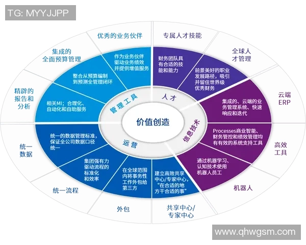 CFO与FNC的全面对比分析及其在企业财务管理中的作用探讨